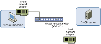 Host-Only Networking Configuration